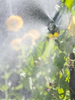 Landscape 4-Way Cooling Mist Kit, 50' -Plants And Accessories Shop 8600154 0695 tif