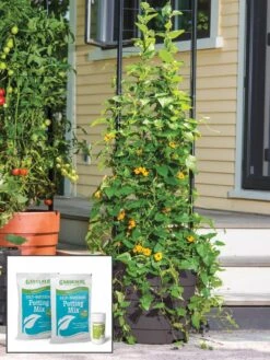 Gardener’s Victory Self-Watering Planter Garden With Vine Trellis