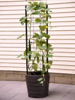 Gardener’s Victory Self-Watering Planter Garden With Vine Trellis 11 Gardener’s Victory Self-Watering Planter Garden With Vine Trellis -Plants And Accessories Shop 8600177 9876 tif