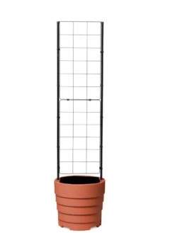 Gardener’s Victory Self-Watering Planter With Vine Trellis -Plants And Accessories Shop 8600178 7000 tif
