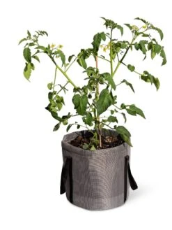 Reinforced Colorful Grow Bags -Plants And Accessories Shop 8600229 0944 tif