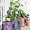 Reinforced Colorful Grow Bags 2 Reinforced Colorful Grow Bags -Plants And Accessories Shop 8600229 19957 tif