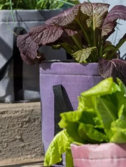 Reinforced Colorful Grow Bags -Plants And Accessories Shop 8600230 20013 tif