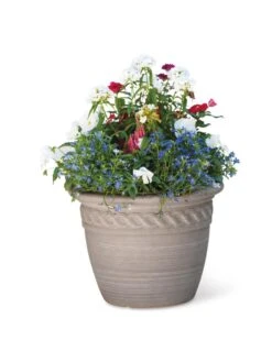 Cortina Self-Watering Planters 14 Cortina Self-Watering Planters -Plants And Accessories Shop 8600315 19839 tif