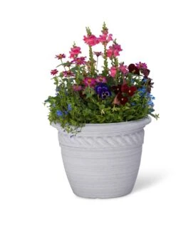 Cortina Self-Watering Planters 13 Cortina Self-Watering Planters -Plants And Accessories Shop 8600316 19838 tif