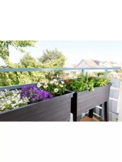 Urban Balcony Elevated Planter Box 15 Urban Balcony Elevated Planter Box -Plants And Accessories Shop 8600349 01V urban balcony elevated planter box