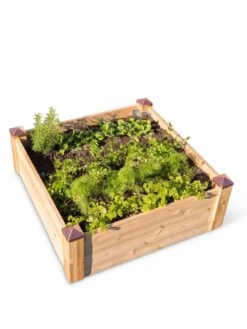 Copper Cap Raised Beds 13 Copper Cap Raised Beds -Plants And Accessories Shop 8600496 0101 tif