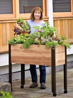 Rolling Patio Garden 10 Rolling Patio Garden -Plants And Accessories Shop 8608781 01 tif