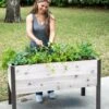 Self-Watering Eco-Stained Elevated Planter Box, 2' X 4' -Plants And Accessories Shop 8608961 5040 tif