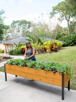Self-Watering Eco-Stained Elevated Planter Box, 2' X 8' -Plants And Accessories Shop 8608965 6069 tif