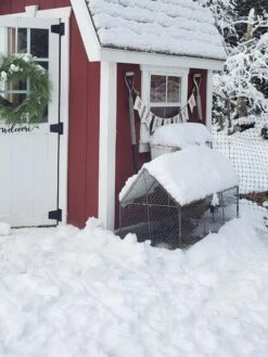 Chicken Wire Crop Coop -Plants And Accessories Shop 8609080 03IN tif