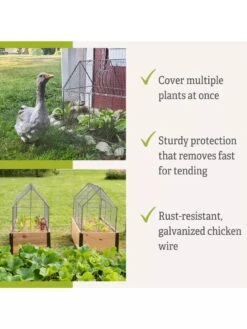 Chicken Wire Crop Coop -Plants And Accessories Shop 8609080 2