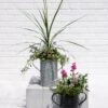 Metal Bucket Planters -Plants And Accessories Shop 8609086 5623 tif