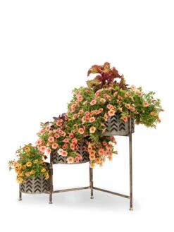 Galvanized Grow Bag Triple Planters With Stand -Plants And Accessories Shop 8609180 0364 tif