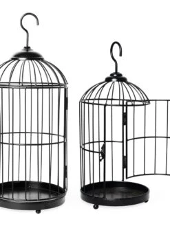 Hanging Birdcage Planter Set -Plants And Accessories Shop 8609181 02V tif