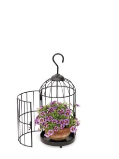 Hanging Birdcage Planter Set -Plants And Accessories Shop 8609181 0371 tif