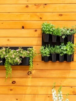 8 Pot Metal Wall Planter -Plants And Accessories Shop 8609195 6250 tif