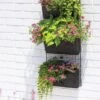 Wire Wall Pockets Vertical Gardens -Plants And Accessories Shop 8609201 0349 tif