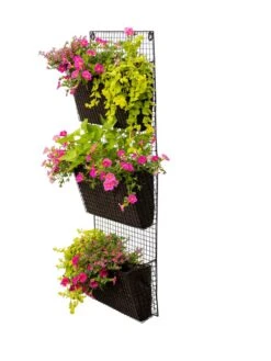 Wire Wall Pockets Vertical Gardens 11 Wire Wall Pockets Vertical Gardens -Plants And Accessories Shop 8609201 0407 tif