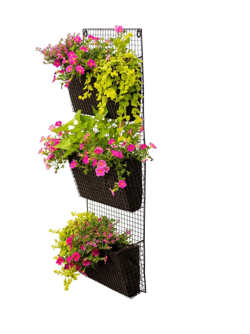 Wire Wall Pockets Vertical Gardens 6 Wire Wall Pockets Vertical Gardens - Image 4