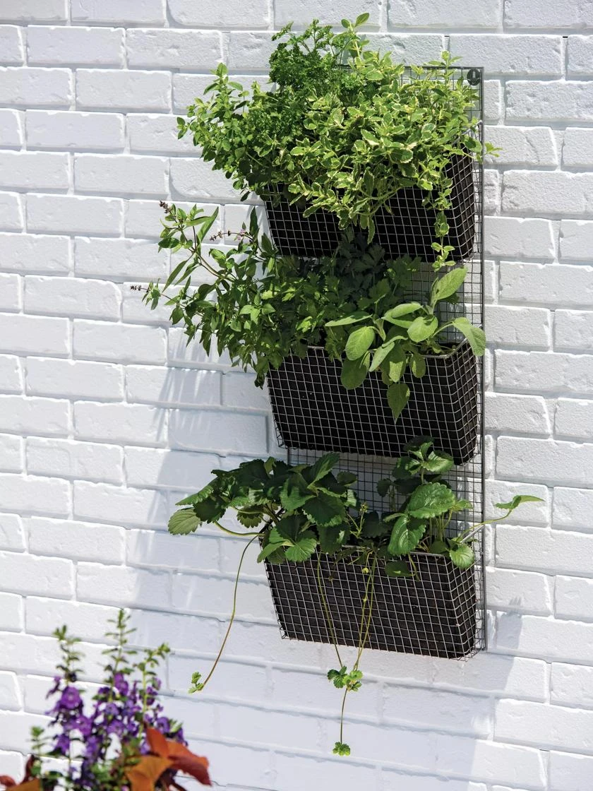 Wire Wall Pockets Vertical Gardens 4 Wire Wall Pockets Vertical Gardens - Image 2