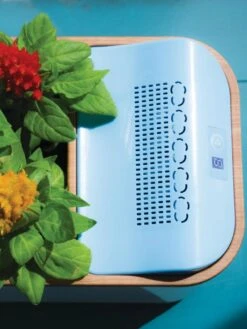 Dewplanter 9 Dewplanter -Plants And Accessories Shop 8609512 Dewplanter