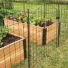 6 Panel Critter Fence With Gate -Plants And Accessories Shop 8609844 8458 6 panel critter fence with gate 3 4
