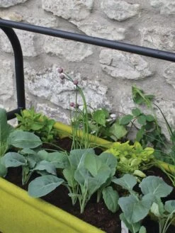 Vigoroot™ Self-Watering Easy Garden Planter -Plants And Accessories Shop 8609879 04V tif