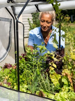 VegTrug®Patio Garden Greenhouse Cover Kit 13 VegTrug®Patio Garden Greenhouse Cover Kit -Plants And Accessories Shop 8610172 1256