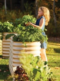 Birdies™ Modular Metal Raised Bed, Tall 13 Birdies™ Modular Metal Raised Bed, Tall -Plants And Accessories Shop 8610174 05010 tif