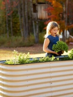 Birdies™ Modular Metal Raised Bed, Tall 12 Birdies™ Modular Metal Raised Bed, Tall -Plants And Accessories Shop 8610174 5015 tif