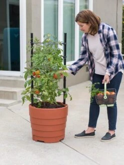 Gardener’s Victory Self-Watering Planter Garden Kit 12 Gardener’s Victory Self-Watering Planter Garden Kit -Plants And Accessories Shop 8610239 06002 tif