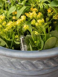 Adjustable Self-Watering Insert For Pots And Planters -Plants And Accessories Shop 8610250 0010 tif