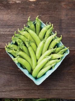 Family Garden Organic Seed Collection, Set Of 7 -Plants And Accessories Shop 8610262 cascadia peas 01V tif