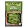 Antigua Bush Bean Organic Seeds -Plants And Accessories Shop 8610283 9987 antigua bush bean organic seeds