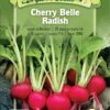 Cherry Belle Radish Organic Seeds 1 Cherry Belle Radish Organic Seeds -Plants And Accessories Shop 8610352 01v cherry belle radish organic seeds highmowing