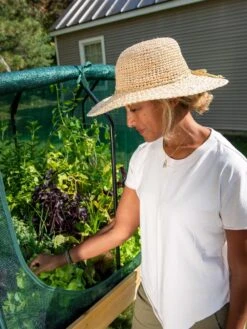 Front Page -Plants And Accessories Shop 8610404 8575 tif