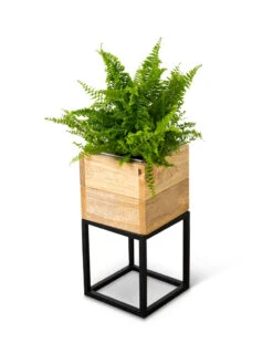 Tartu Elevated Square Planters -Plants And Accessories Shop 8611004 038