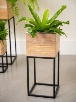 Tartu Elevated Square Planters -Plants And Accessories Shop 8611005 035