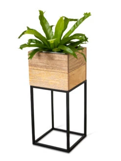 Tartu Elevated Square Planters -Plants And Accessories Shop 8611005 036