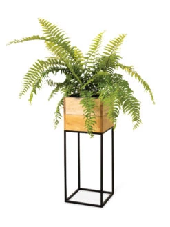 Tartu Elevated Square Planters -Plants And Accessories Shop 8611006 033