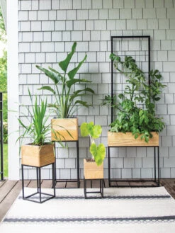 Tartu Elevated Square Planters -Plants And Accessories Shop 8611007 022