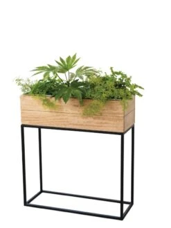 Tartu Elevated Rectangular Planter 8 Tartu Elevated Rectangular Planter -Plants And Accessories Shop 8611007 silo 1346 tif