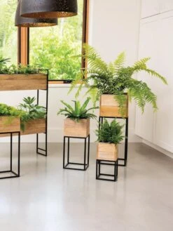 Tartu 2-Tier Elevated Rectangular Planter -Plants And Accessories Shop 8611008 1306 tif