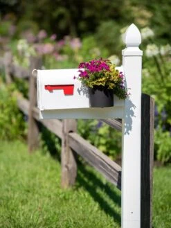 Mailbox Planter -Plants And Accessories Shop 8611026 014 tif