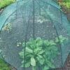 GardenSkill Pop N Crop Plant Umbrella 2 GardenSkill Pop N Crop Plant Umbrella -Plants And Accessories Shop 8611105 01V tif