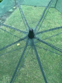 GardenSkill Pop N Crop Plant Umbrella 16 GardenSkill Pop N Crop Plant Umbrella -Plants And Accessories Shop 8611105 07V tif