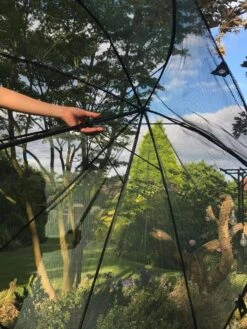 GardenSkill Pop N Crop Plant Umbrella 14 GardenSkill Pop N Crop Plant Umbrella -Plants And Accessories Shop 8611105 09V tif