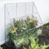 Chicken Wire Flat Back Crop Coop -Plants And Accessories Shop 8611701 142 tif