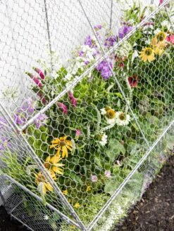 Chicken Wire Flat Back Crop Coop -Plants And Accessories Shop 8611701 153 tif